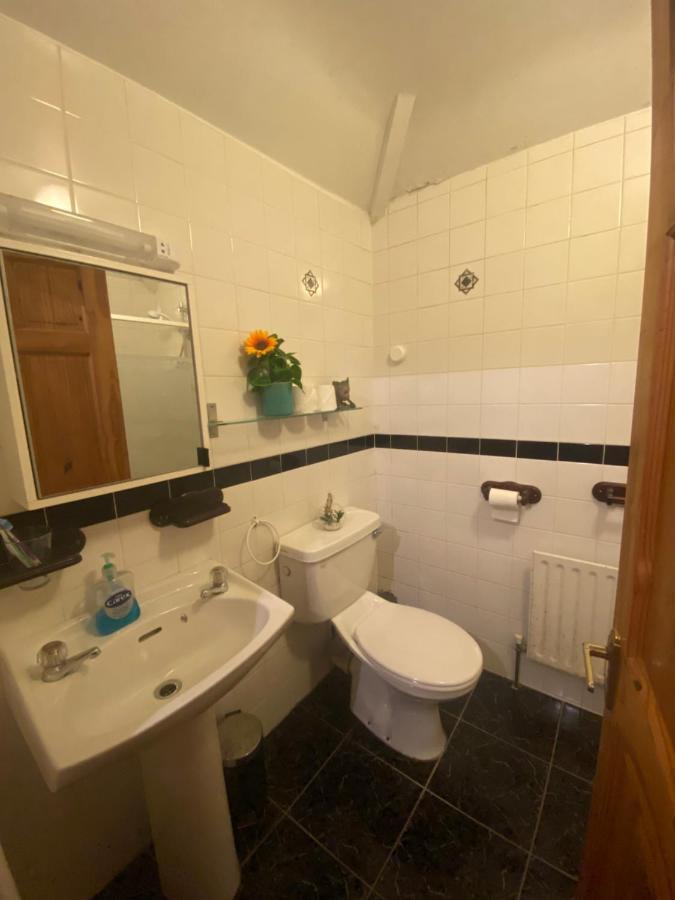 Cosy City Centre Guest Room Shared Home Galway Exterior photo